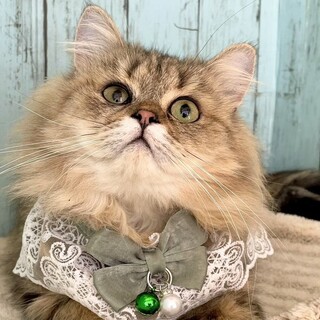 【10/19東銀座】翔くん★１歳♪