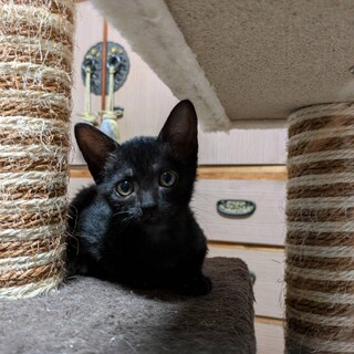 可愛い小さな天使ちゃん