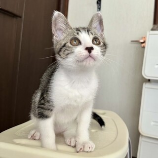 【8/3大崎】身体の小さいけど負けん気強め✦