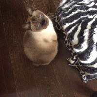 marちゃん(マールちゃん)