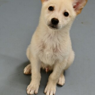 遊んで甘えてハッピーに♪ロクくん