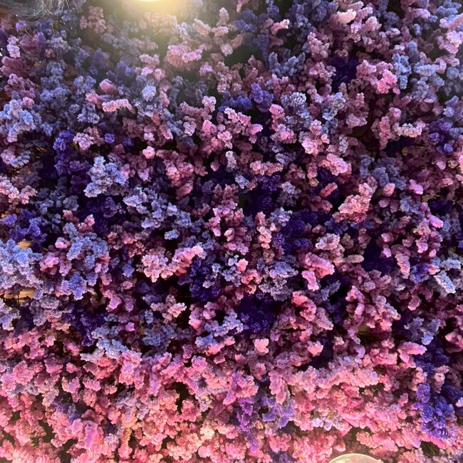 きなな@福岡市のカバー写真