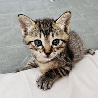 しっかり者だけど甘えんぼさんな康子♥️