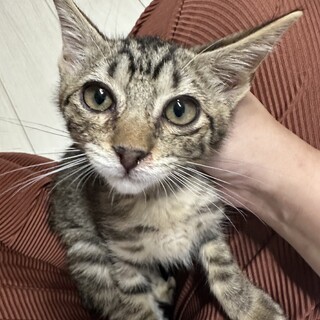 すてきな家族に出会えました☆しょうり君