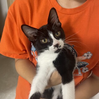 特別ハンサムではないけど性格はピカイチ♪