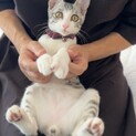 彼氏感満載！そっと寄り添ってくれるサバ白くん