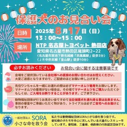 NTP 名古屋トヨペット熱田店様 お見合い会