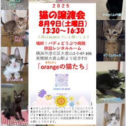 『orangeの猫たち』の譲渡会