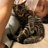 なつめ