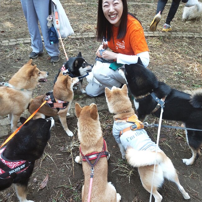 みのりはるかのカバー写真