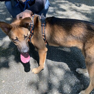 遊び大好きあきくん