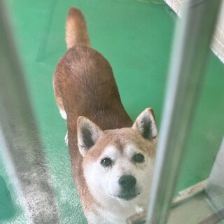 ありがとうございました！