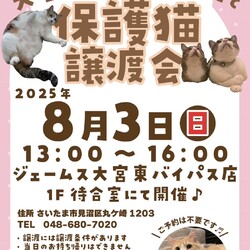 秘密結社ねこのひげ♡保護猫譲渡会 サムネイル1