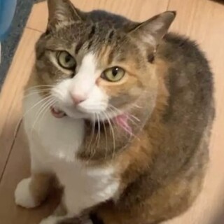 2匹姉妹で一緒に♬モモちゃん