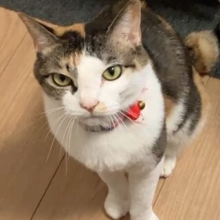 2匹姉妹で一緒に♬ミミちゃん