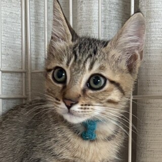 喋りながら食べる所が可愛い男の子⭐️ネル