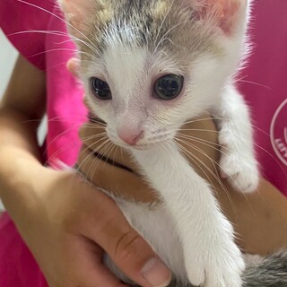 パッツン前髪がチャームポイント❤️まるこ