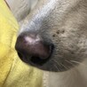みーなんさん