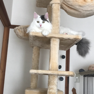 大きなカラダ　でも性格はおっとりさん