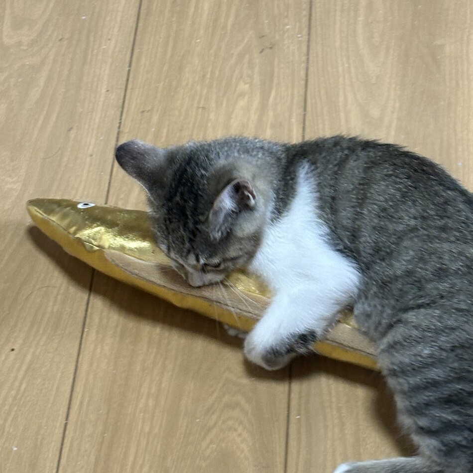 おこげのカバー写真