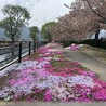 けさっち