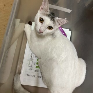 超人懐っこいムサシくん♪