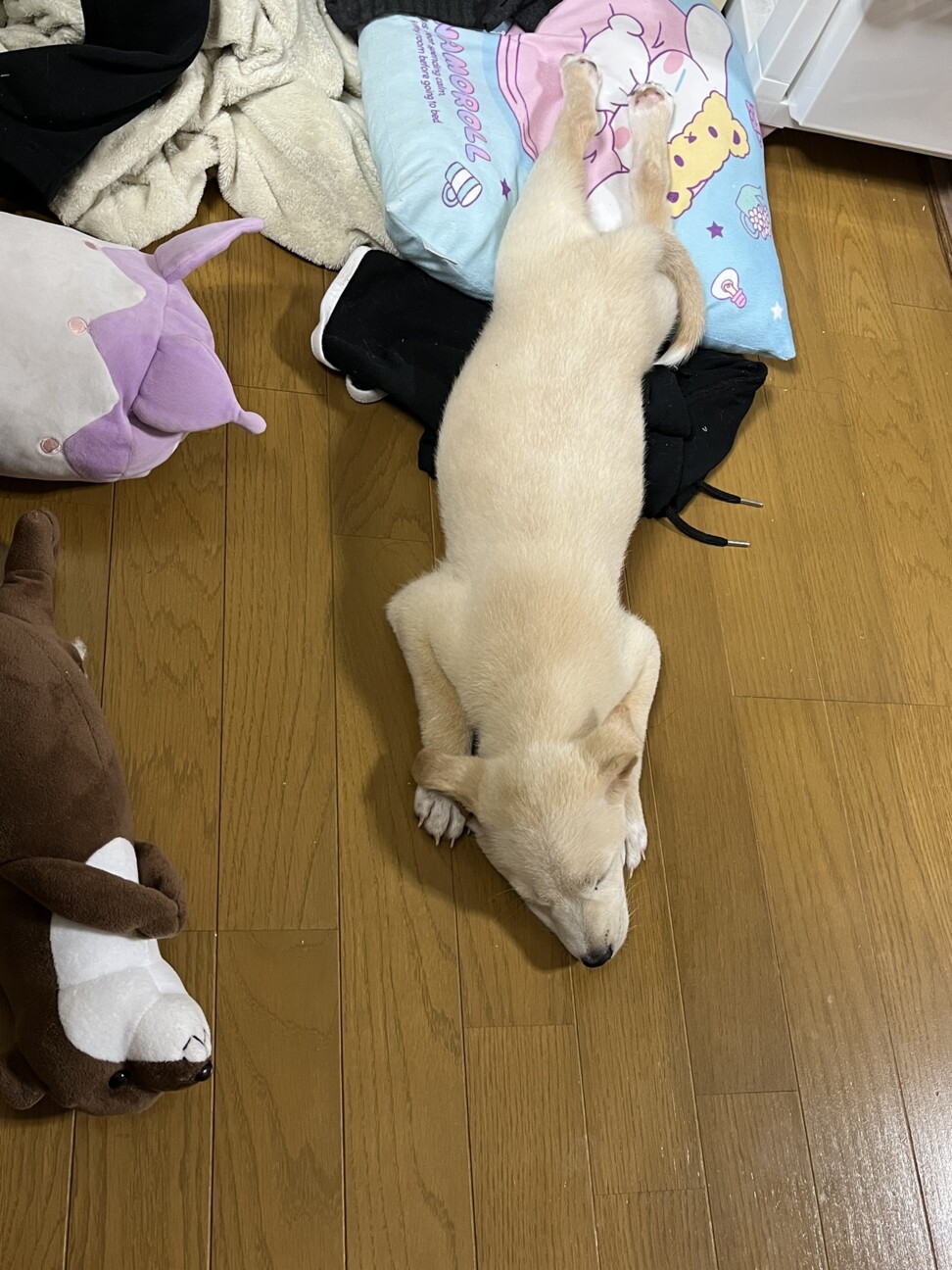 犬のぬいぐるみ 白と茶色 3頭 犬のぬいぐるみ 白と茶色 3頭 犬のぬいぐるみ 白と茶色 3頭