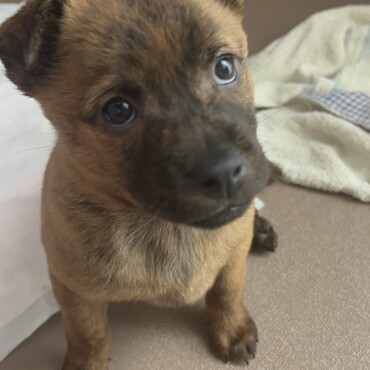 ベイビーの時も可愛い子♡