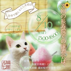 猫房えにしの保護猫譲渡会@長寿院