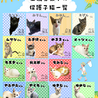 8/10（日）里親会！灰シャム子猫♂ゆきじ君 サムネイル6