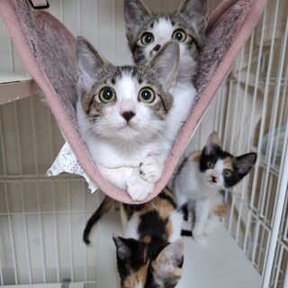 ろんくん&るんくん♡3か月くらい