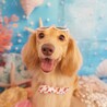 なゆちゃ