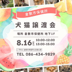 倉敷市保健所　収容犬猫譲渡会