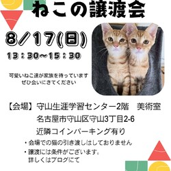 ねこの譲渡会 in守山生涯学習センター