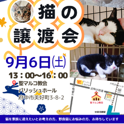 猫にゃんネットワーク府中のイベント :: ペットのおうち【里親決定29万