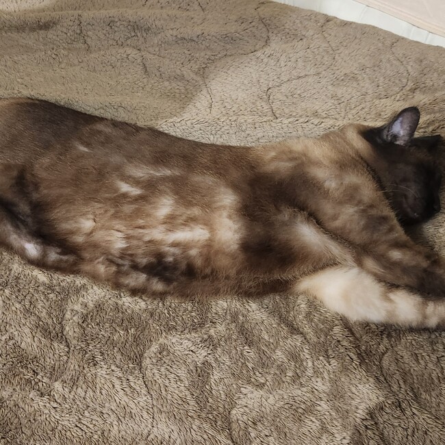 よる1215のカバー写真