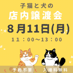 子猫と犬の店内譲渡会