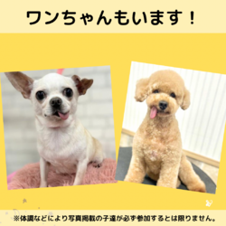 子猫と犬の店内譲渡会 サムネイル3