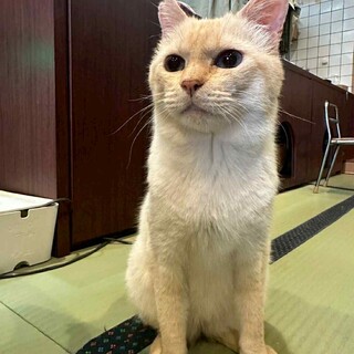 とっても甘えん坊なアンデス君♡