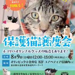 保護猫譲渡会@オリンピック小金井店