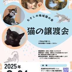 むさしの地域猫の会　譲渡会 サムネイル1