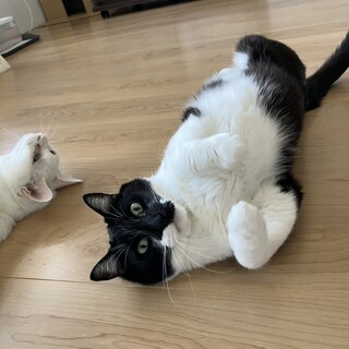 個性的な　ワインくん