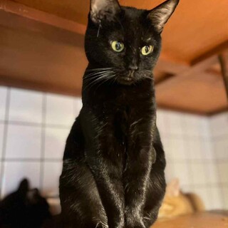 人がちょっと怖いです。がんばって訓練中の黒美女！