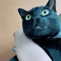まろ