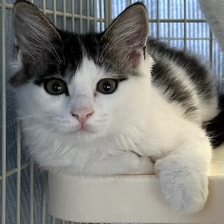 おっとりしてて人懐こい　まひる君