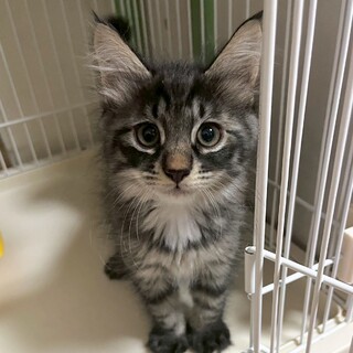 8/10幕張ෆ⃛ふわふわ可愛いෆ⃛ゆうくん