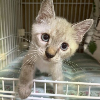 8/10幕張ෆ⃛元気いっぱいෆ⃛らんくん