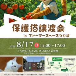 つくば保護猫譲渡会