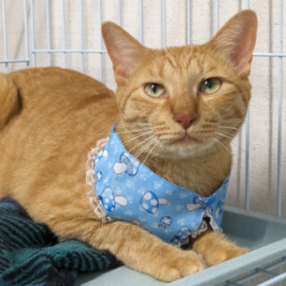 食いしん坊で甘え上手です