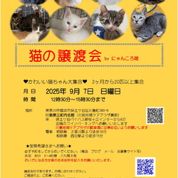 猫の譲渡会　by にゃんころ隊 9/7